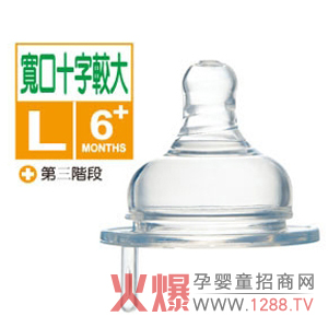 С�{�����͌���ʮ�ֿ����� ��Û���˺��