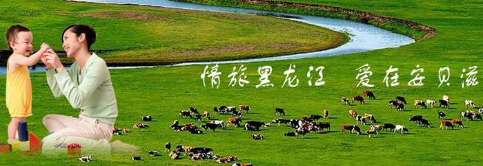 �������r(n��ng)����ؐ�̽�(j��ng)�Q(m��o)���޹�˾������