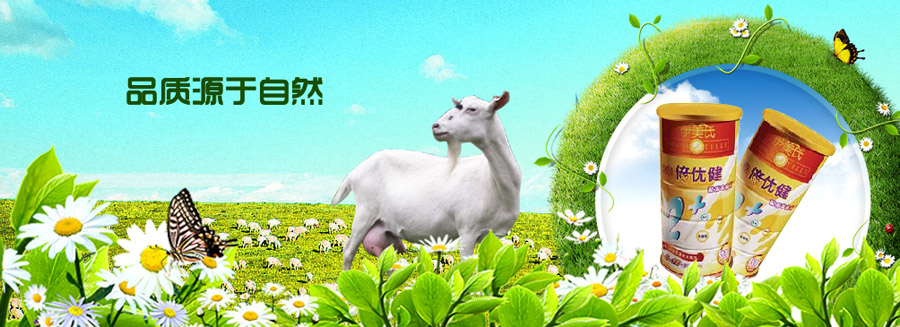 ���������̷�����