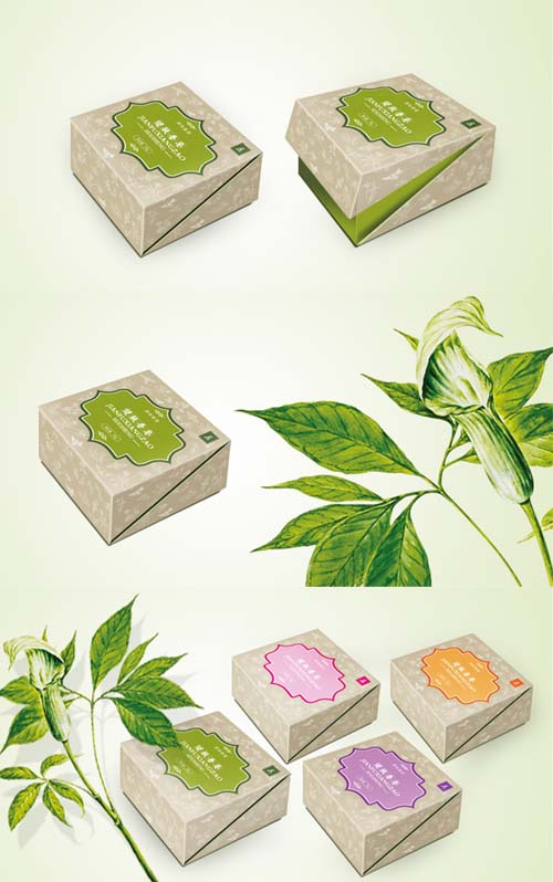 ���ٽ��w����