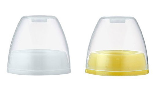 ���������ڏ���ƿ�w