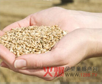 健康時光嬰童輔食當季收獲原料