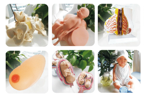 �옷�����ЋD�WУ�̌W�þ�