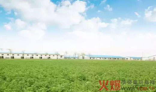 ������ЙC(j��)����(ch��ng)��(xi��)���ع� ����?j��ng)]����