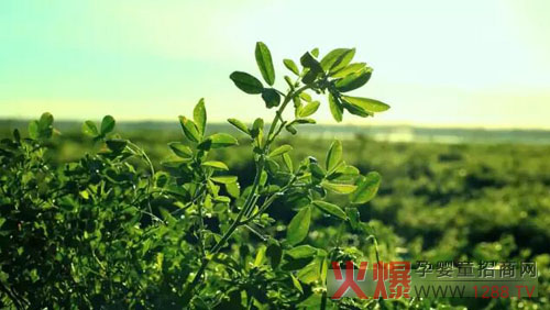 �xɽţ�̟���ӛ�������������� �����֎ײ���