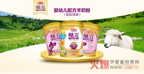 ������ʲô����(��i)�Ⱥ��ϻ������̷���