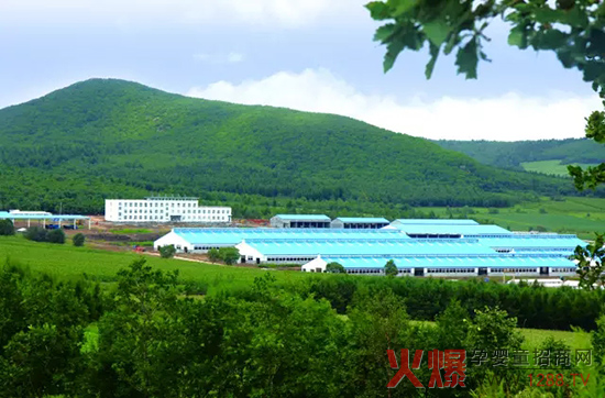 �l(f��)չ��(sh��)�w��(j��ng)��(j��)�����_(d��)ɽ���Є�(d��ng)��