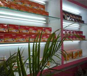 �W��ؐؐ��������չʾ