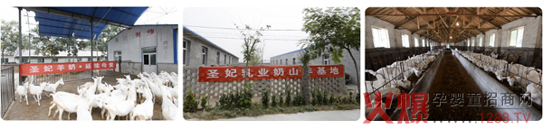 ���̷ۮa(ch��n)�I(y��)��Ȼ���� ����(l��)��������A�I(l��ng)�Ј�(ch��ng)