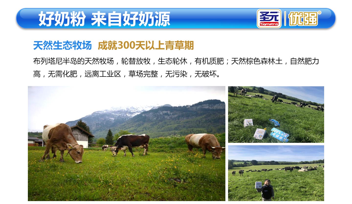  ʥԪ��(y��u)���̷�05