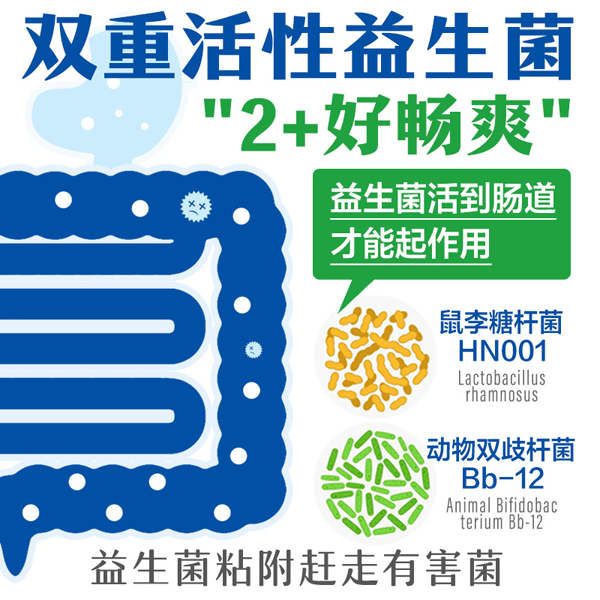  �Z�������������̷�02