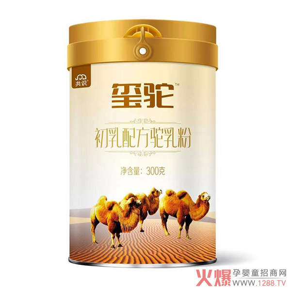 2020�Ă�(g��)���ӵ��̷ۺ��u��׌�t����۽o��𰸣�