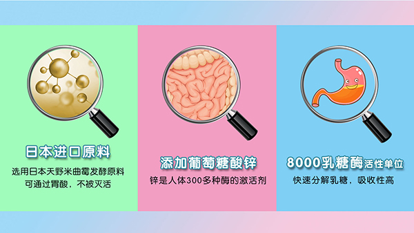 金膳亨乳糖酶水解乳清蛋白調(diào)制乳粉4.jpg