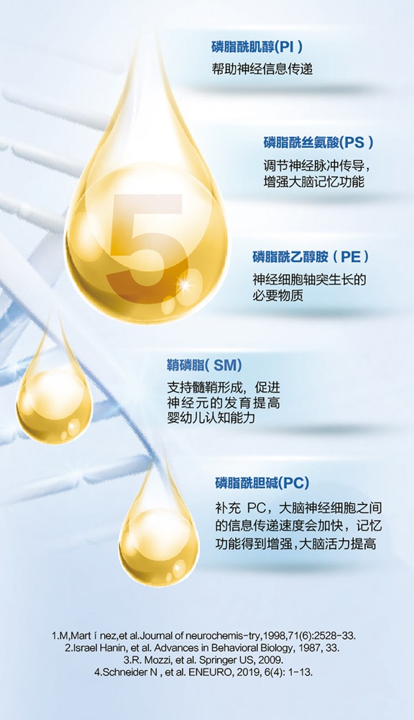   ؐ������Խ�׃��䷽�̷�(12-36���g��3��)4