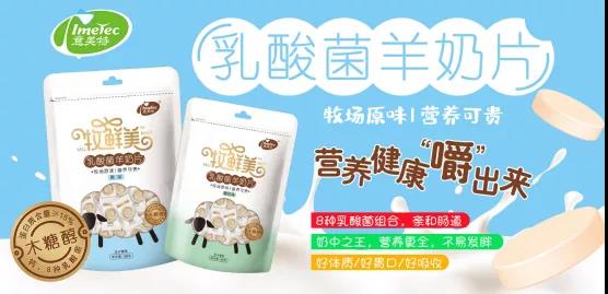 ����������Ƭ��������ʲôħ����������