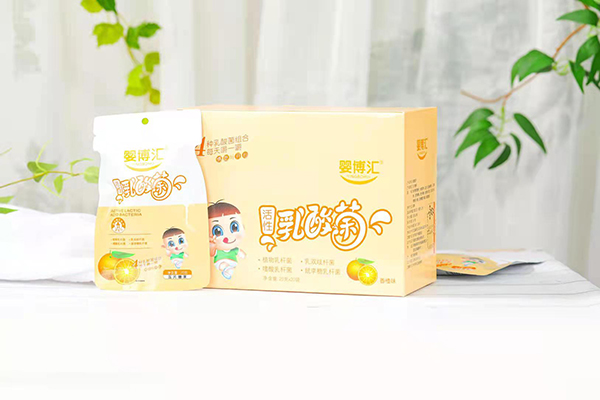  �벩�R�����������Ƭ�ǹ� ���ζ