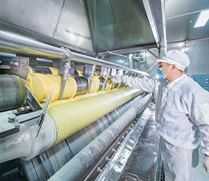  ��������S29