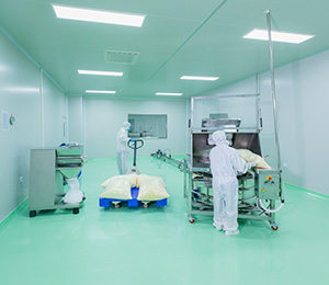  ��������S1