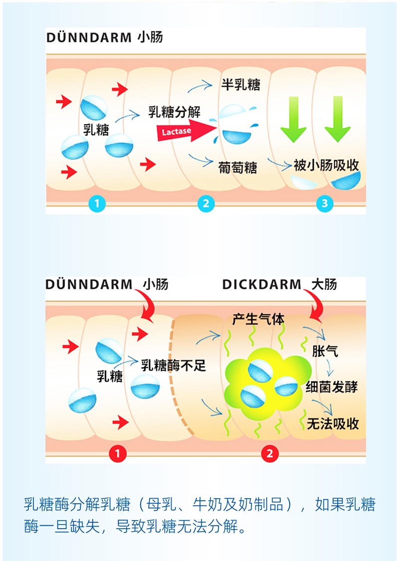  ����������ø�{�����Ԕ��D_03