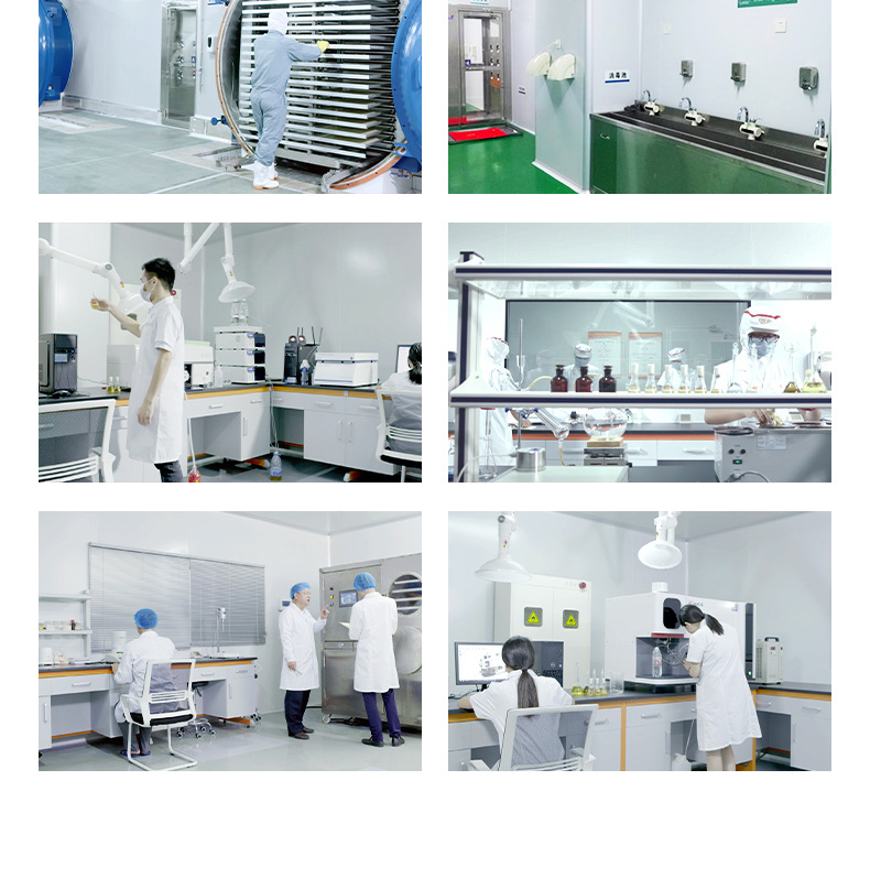 果蔬飛機(jī)造型餅干 (13).jpg