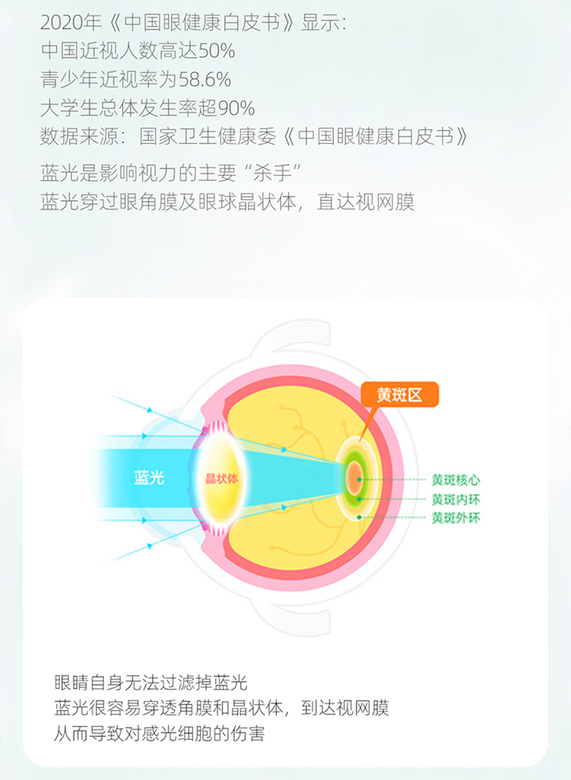  �������~�S�����{����ƬԔ��D_07