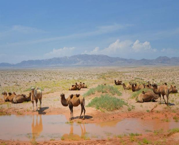 ���ƽz�ĸ�댣�������\�д���������ģʽ���´򷨣����oȫ�ҽ������\�����ļ�����