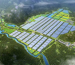  ΢�ňDƬ_20250604101856