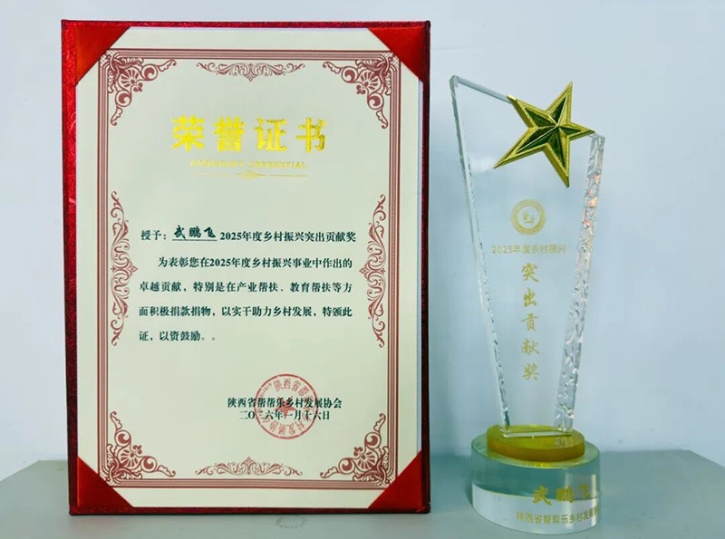 �����V���`���� �A���I�����d�������i�w�s�@2025����l(xi��ng)�����dͻ��ؕ�I��