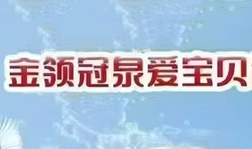 ���I(l��ng)��Ȫ�ی�ؐ