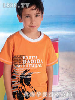 ������ɫT��