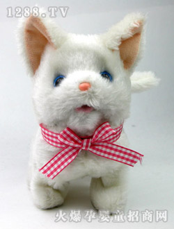 ��֮��С��С��؈