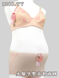 �N�ĿɃ��ЋD��(n��i)���wɫT019