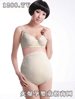 �N�ĿɃ��ЋD��(n��i)��T13028