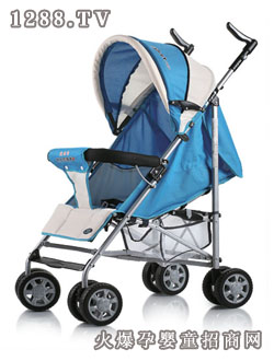 �ۘ�������܇S1