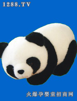 ��������؈