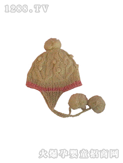 ���ػ�ɫ��ñ