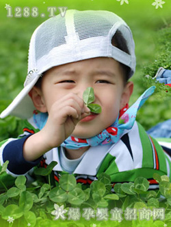 ����r���G�ⰻȻ