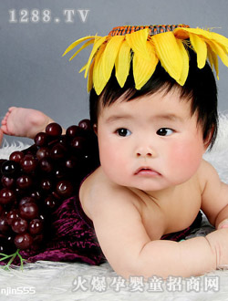 ���L(f��ng)܇(ch��)��������