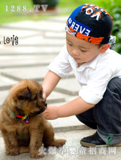 ��ɽ�ۃ����⾰��