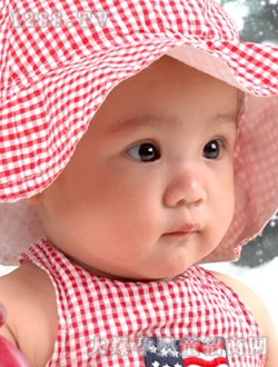 ��ɽ�ۃ����ɐ���Ƭ