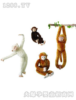 �A���L(zh��ng)�Ⱥ���