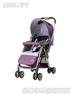 ����p���p����܇���C