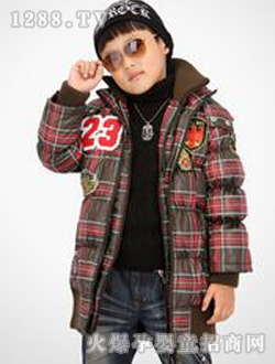 ������t���p�������q��