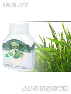 �İ���������Ƭ