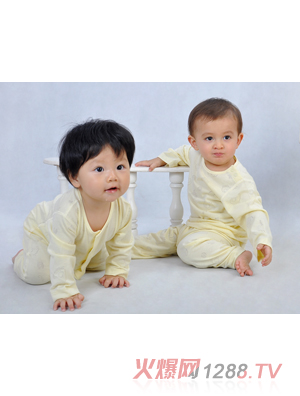 ��ȼ��幫���Ứ�L��