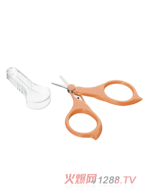 �w��(l��)�Ȱ�ȫָ�׼�