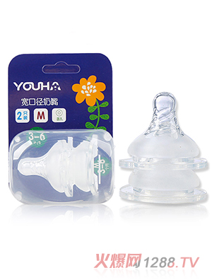 ��(y��u)�ό��ڏ�����