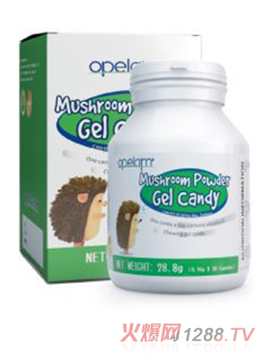 �W����(l��)Ģ�������z�ǹ�