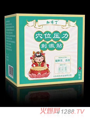 �Ӳ���Ѩλ�����̼��N ��Ƣθ����ʳ