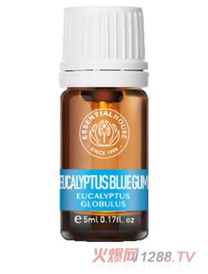 ��Ϫ���@ �{�z�ȼ�������